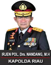 Presiden Ancam Copot Jika Tak Bisa Atasi Karhutla, Ini Tanggapan Kapolda Riau